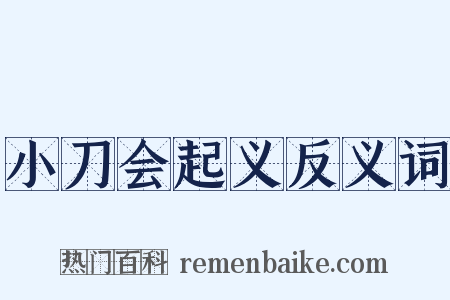 小刀会起义反义词是什么意思的图片
